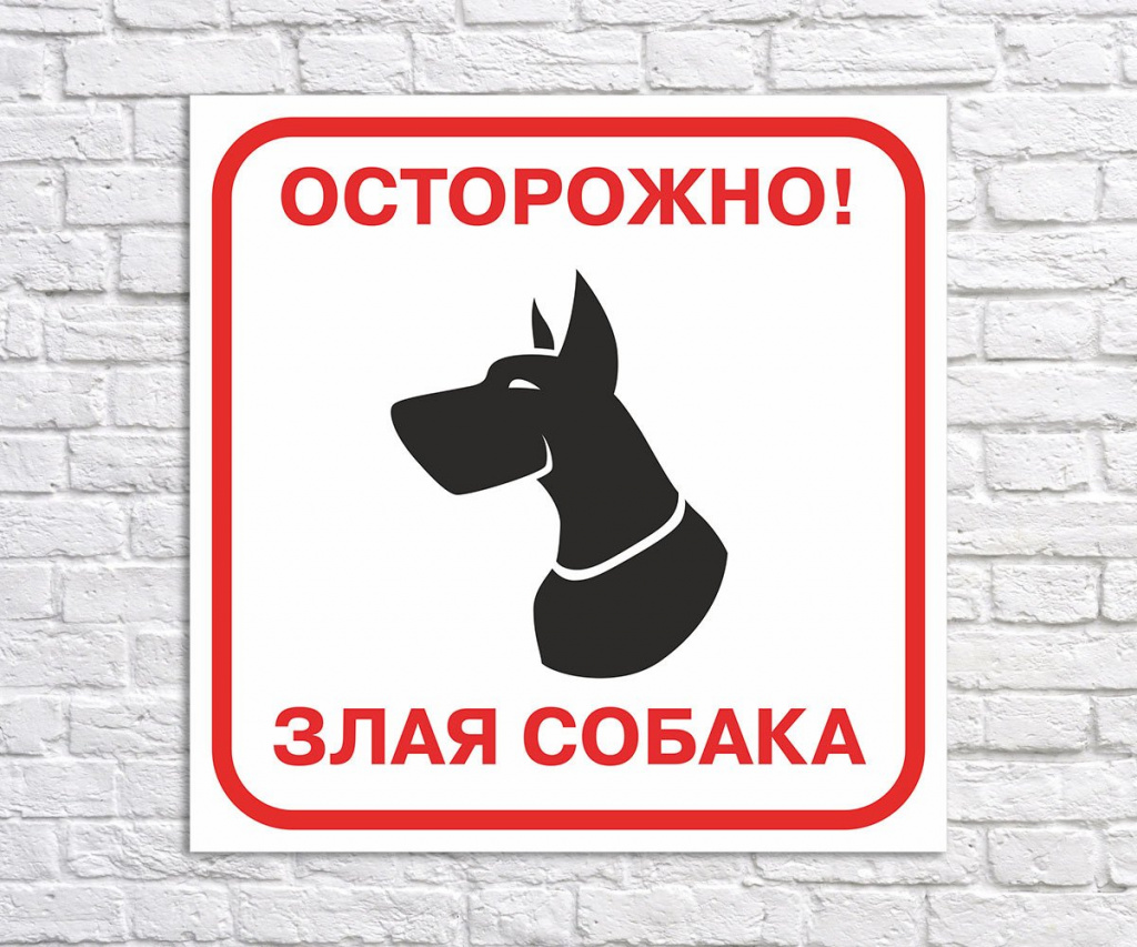 C36AF7AA-F339-4BE4-AE74-B51ED08E8EA9.jpeg C36AF7AA-F339-4BE4-AE74-B51ED08E8EA9.jpeg