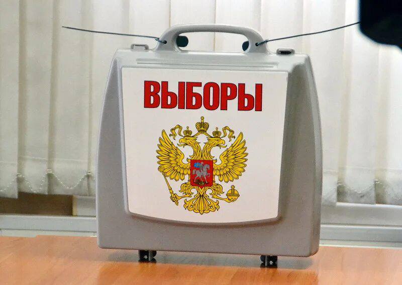 Выборы